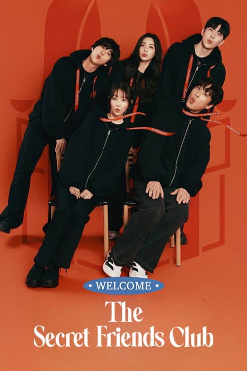 The Secret Friends Club poster